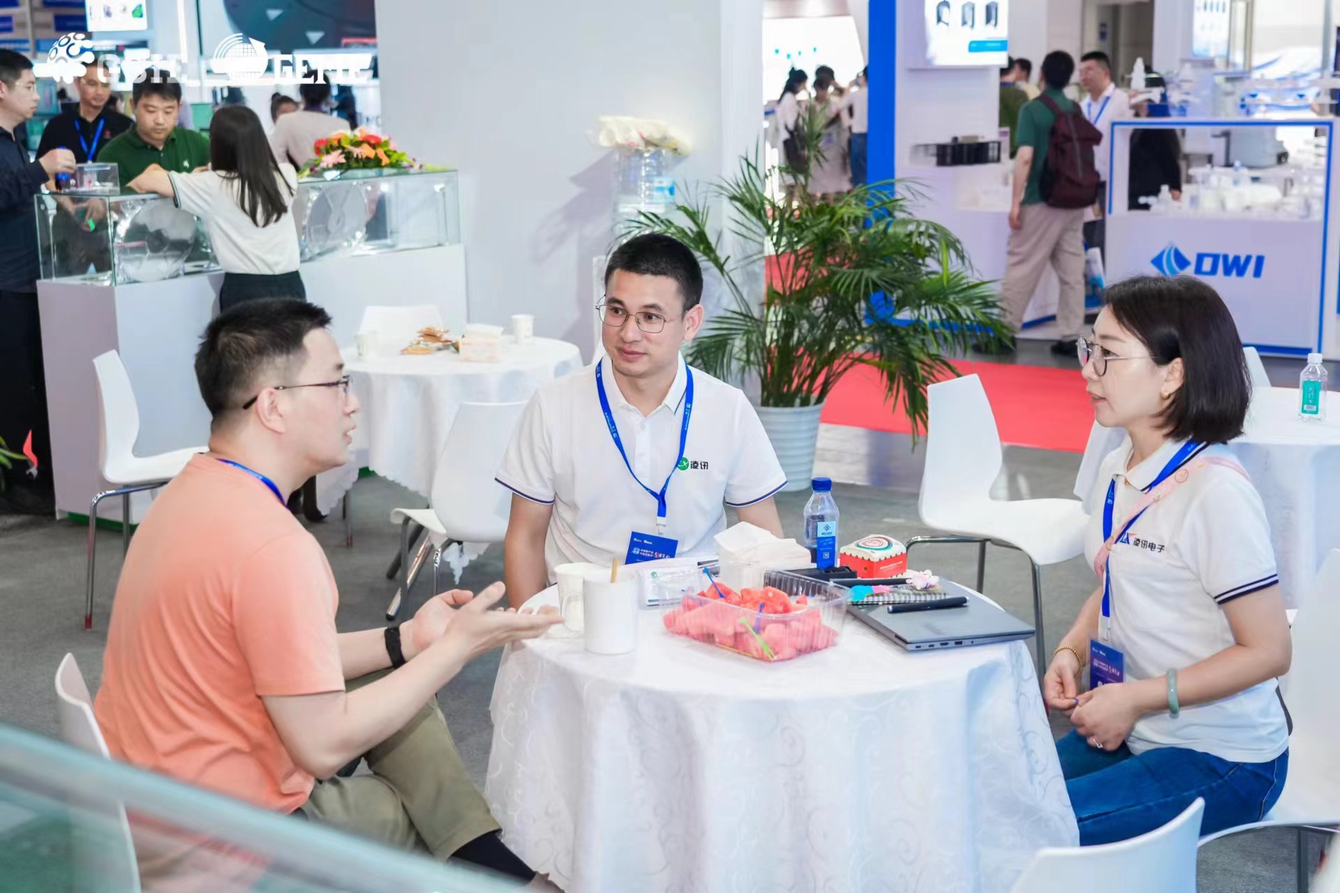 Lingxun Micro participates in the Chongqing Semiconductor and Electronic Technology (Chongqing) Expo in 2024